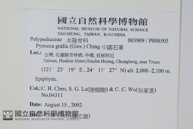 中國石葦藏品圖，第2張