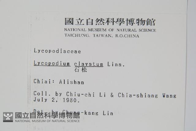 石松藏品圖，第2張