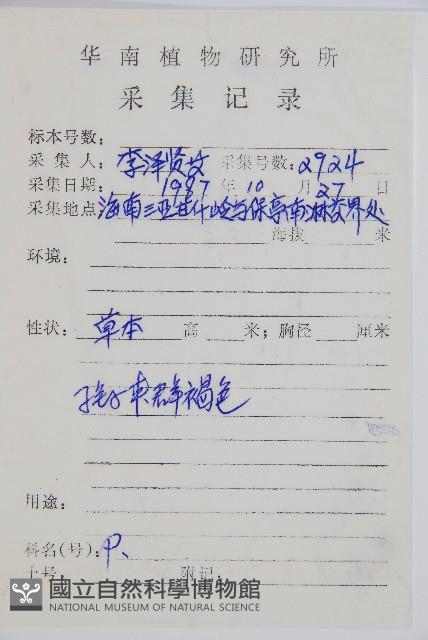 細柄雙蓋蕨藏品圖，第2張