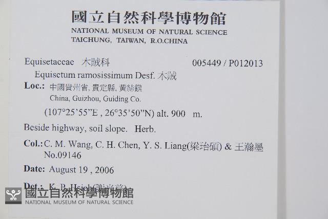 木賊藏品圖，第2張