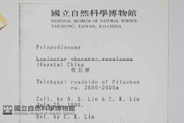 麟瓦葦、川上氏瓦葦藏品圖，第2張