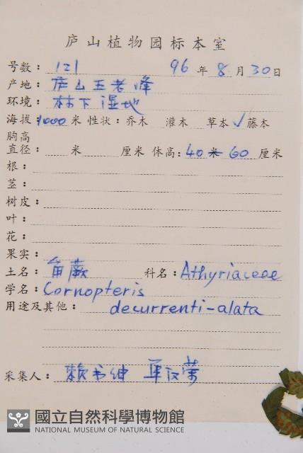 登錄號:P006313藏品圖，第1張