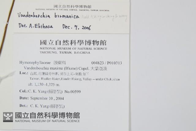 登錄號:P010313藏品圖，第2張