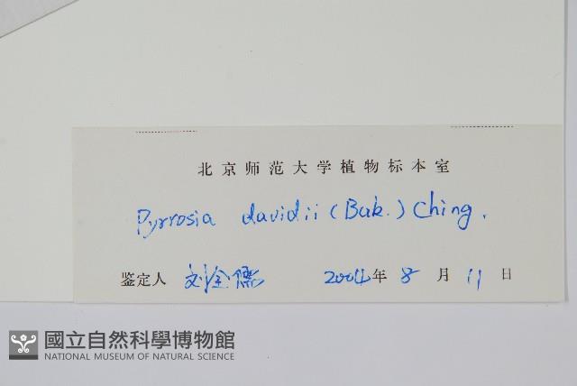 華北石葦藏品圖，第2張