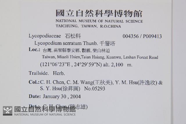 千層塔藏品圖，第1張