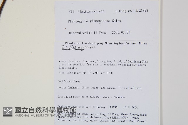 登錄號:P010813藏品圖，第2張