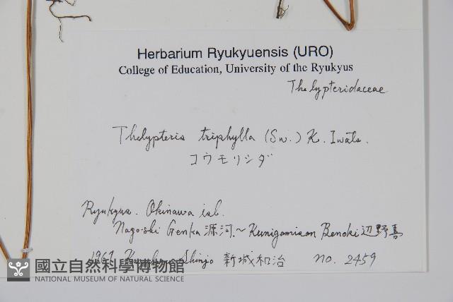 登錄號:P005813藏品圖，第2張