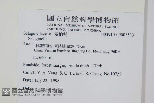 登錄號:P008513藏品圖，第2張