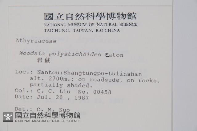 岩蕨藏品圖，第2張