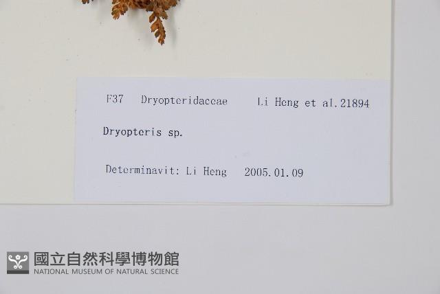 登錄號:P010753藏品圖，第2張