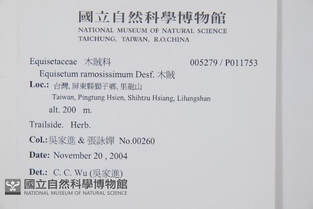 木賊藏品圖，第2張