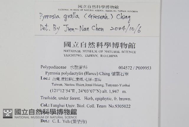 中國石葦藏品圖，第2張