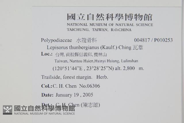 瓦葦藏品圖，第2張