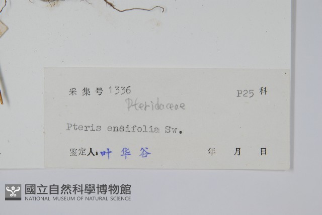 登錄號:P005253藏品圖，第2張