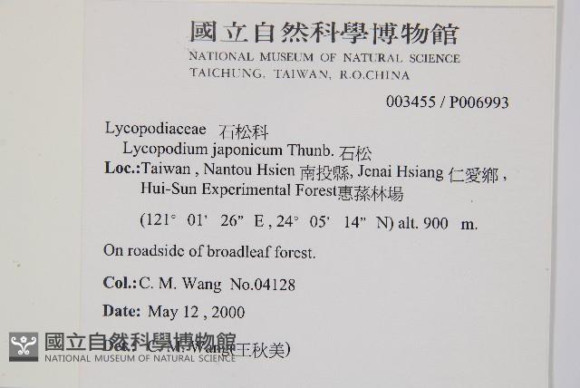 石松藏品圖，第2張