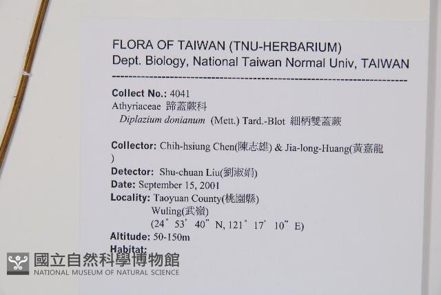 細柄雙蓋蕨藏品圖，第2張