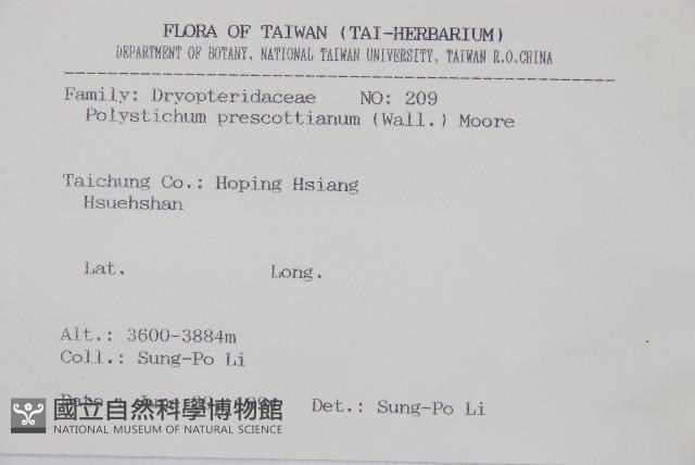 高山耳蕨藏品圖，第2張