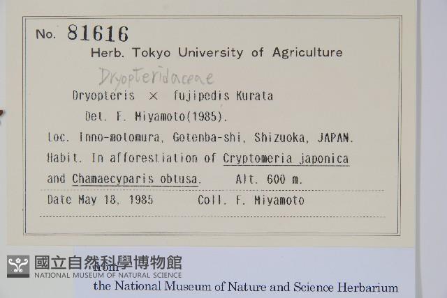 Accession Number:P012793 Collection Image, Figure 2, Total 2 Figures