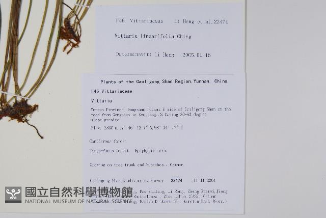 登錄號:P010793藏品圖，第2張