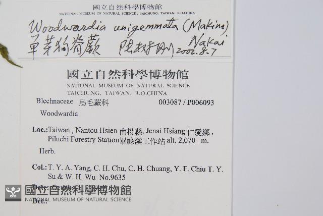 Accession Number:P006093 Collection Image, Figure 2, Total 5 Figures