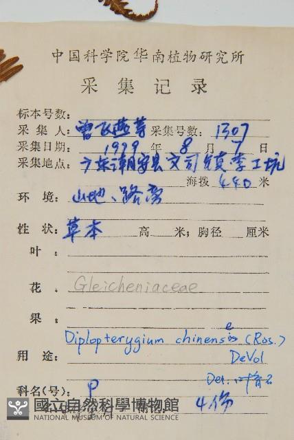 中華裡白藏品圖，第2張