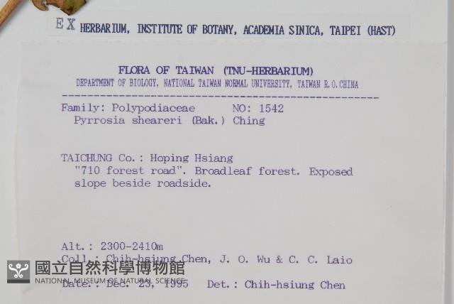 盧山石葦藏品圖，第2張