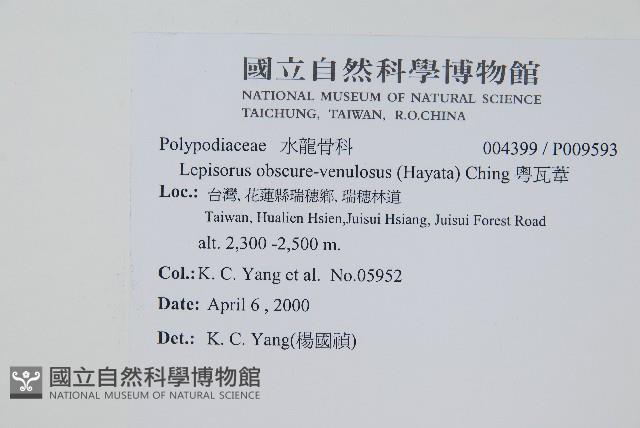 粵瓦葦藏品圖，第2張