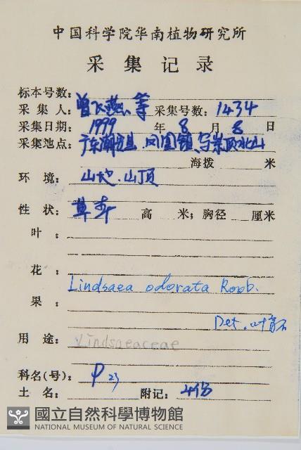 陵齒蕨、鱗始蕨藏品圖，第2張