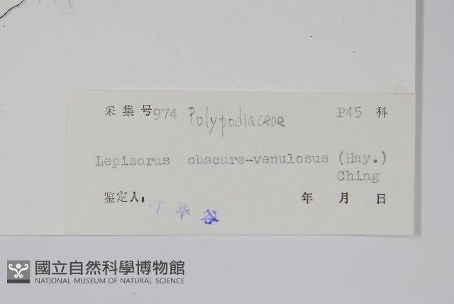 粵瓦葦藏品圖，第2張