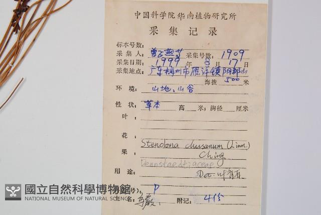 烏蕨藏品圖，第2張