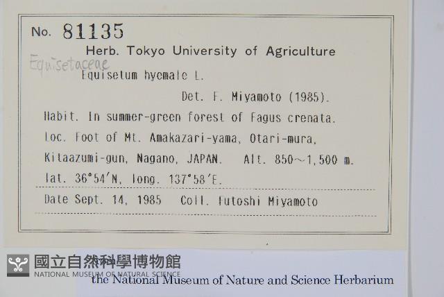 大木賊藏品圖，第2張