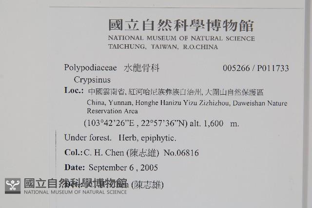 登錄號:P011733藏品圖，第2張