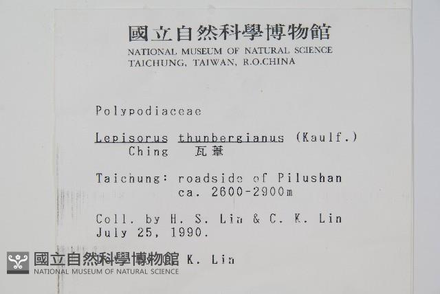 瓦葦藏品圖，第2張