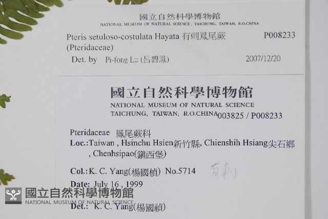 Accession Number:P008233 Collection Image, Figure 2, Total 2 Figures