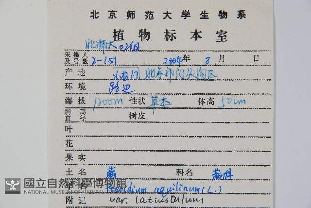 蕨藏品圖，第2張