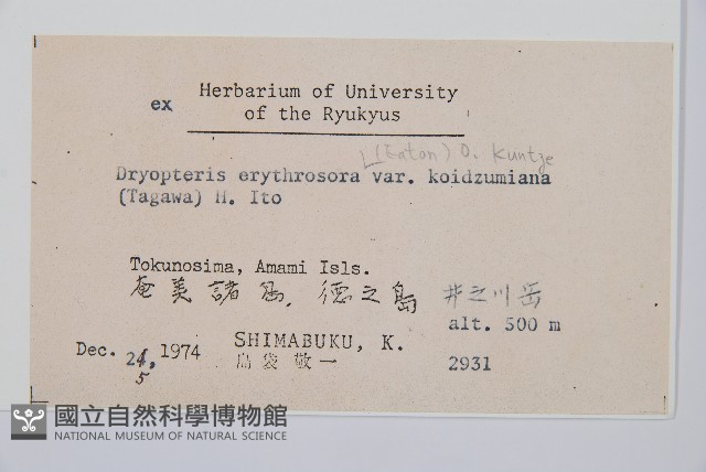 登錄號:P005833藏品圖，第2張
