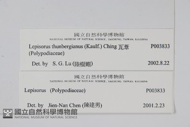 瓦葦藏品圖，第2張