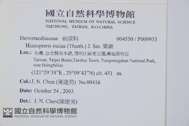 栗蕨藏品圖，第2張