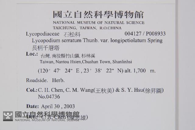 長柄千層塔藏品圖，第2張