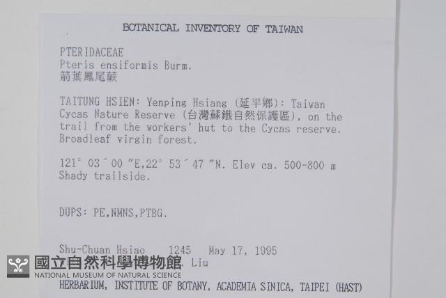 Sword brake Collection Image, Figure 2, Total 2 Figures