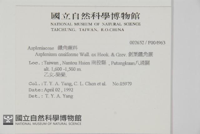 Accession Number:P004963 Collection Image, Figure 2, Total 5 Figures