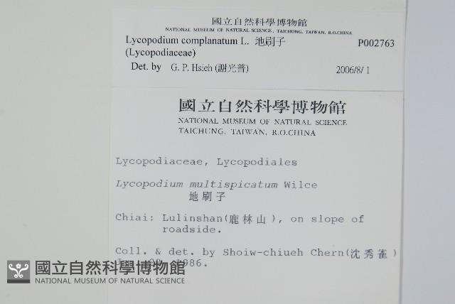 地刷子藏品圖，第2張