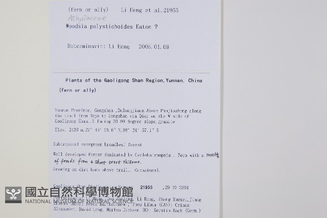 岩蕨藏品圖，第2張