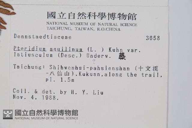 蕨藏品圖，第2張