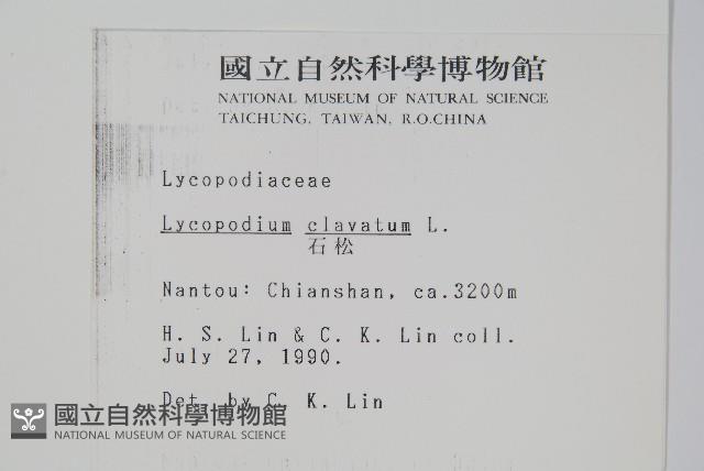 石松藏品圖，第2張