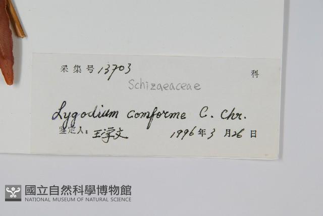 Accession Number:P005063 Collection Image, Figure 2, Total 2 Figures