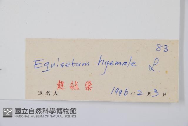 大木賊藏品圖，第2張