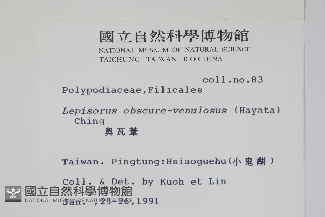 擬芨瓦葦藏品圖，第2張