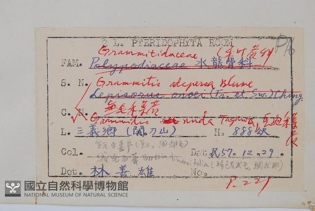 登錄號:P007463藏品圖，第2張