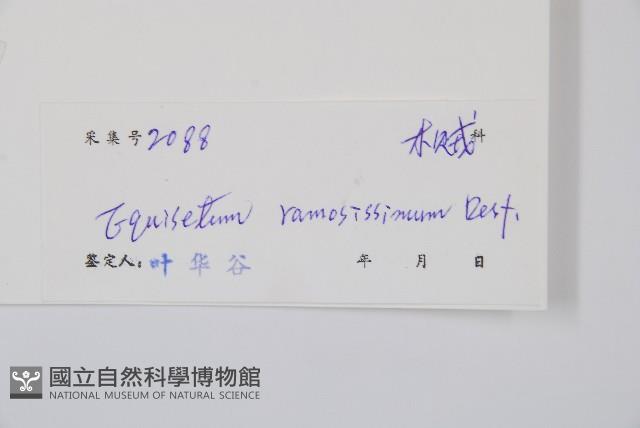 木賊藏品圖，第2張